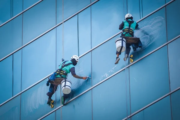 Window & Exterior Cleaning